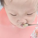 덕바우 | 홍천비발디파크 맛집 추천 덕바우 능이오리백숙 삼계탕 후기