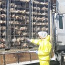 남원농장 이미지