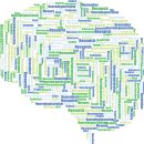 인지심리학 이미지