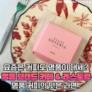 "17만원짜리 햄버거 코스?" 구찌가 오픈한 '명품' 버거...