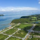 오시아노골프장 이미지