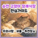 순천광양축산명품관 | 순천 고양이 장례식장 안심가이드│반려동물 장례 주의사항·비용·추천 장소 한눈에