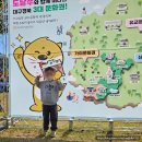 대가야광장 | 대구 근교 캠핑장 고령 대가야 캠핑장 후기 (feat. 체험 활동, 캠핑 페스티벌)
