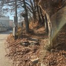 오포그랜드사우나 이미지