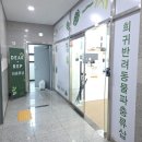 디어렙 | 청주 파충류샵 디어렙 청주용암점 용품 구매하러 간 솔직후기