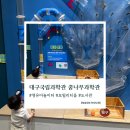 꿈나무 | 대구 꿈나무과학관 아이랑 실내 가볼만한곳｜국립대구과학관 체험·유아놀이터 후기