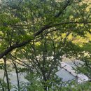 피아프스테이 이미지