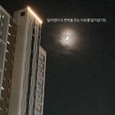 달이 떴다고 연락을 주시다니요 이미지