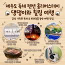 애견세상 - 1217 | [올리버스테이] INFP 내향인 제주도애견동반 숙소추천 제주도 애견 여행 솔직 후기🐶