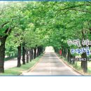 (주)청주여객터미널 이미지