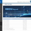 2025 사람 뽑는 IT회사