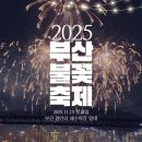 행정사장중배사무소 | 2025 부산 불꽃축제 요트투어 후기 (수영만 요트경기장 주차, 시간대별 현장)