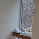 루오스테이 수월 이미지