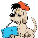 못된 강아지 이미지