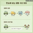 금마트 | 마트 흠과가 더 비싼 진짜 이유? 금사과 시대, 온라인 산지 직송 후기 (ft. 실패 없는 고르는 법)