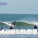 핑크유빈