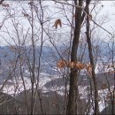 신당4로-1 이미지