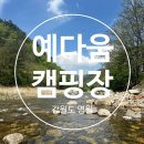 [강원도/영월] 계곡이 바로 앞에 있는 예다움 캠핑장 2박 후기(A8 타프존 사이트)