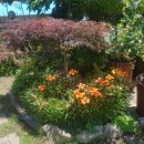 금호식당 이미지