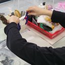 미용사(헤어) 이미지