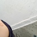 서울가정의학과의원 | 서울가정의학과 독감 예방접종 후기, 망원동 독감주사 가격, 진료 시간