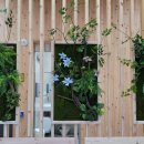 와룡자연휴양림 이미지