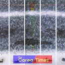 제주피움 이미지