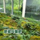 땅조경 이미지