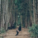 소낭 2호점 이미지