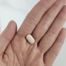 오휘카운셀러 - 군산시 대학로 539 | 30대 워킹맘 잠 안 올 때, 식물성 멜라토닌 파이토레스트 첫날 후기