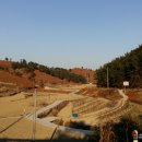 창선 가인리화석산지 이미지