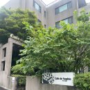 이매역 | 경기 성남 : 분당 애견동반 카페 ‘카페 드노피’ 이매역 브런치 즐기고 온 후기