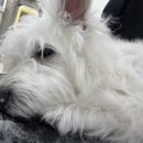 두루몽실 이미지