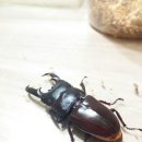 털보네농장 이미지