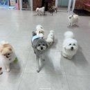 주견야독 이미지