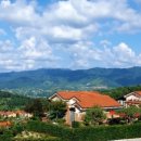 장수송학골로 이미지