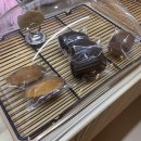 남구 양림동 네츄럴커피스톨 네커스 natural coffee...양림동 신상 카페 / 내돈내산 후기, 내돈내먹 후기
