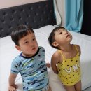 지누애드