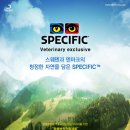 에이비씨광고