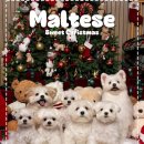 (주)건강과 땀 휘트니스 | 겨울다이어트 건강과땀 필라테스 1년다닌후기