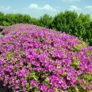 지리산휴게소 이미지