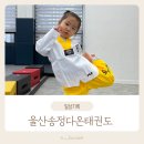 다온 용인대국가대표태권도 | 울산 송정 태권도 유아체육수업 차량가능 다온태권도