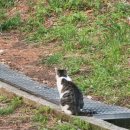 중부대로29 이미지