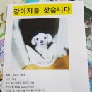 용담킹마트 이미지
