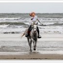 노랑머리앤 이미지