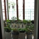 우리화원 이미지