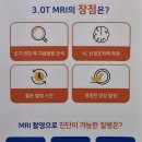 서울동물영상종양센터 이미지