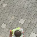 뾰롱뾰롱
