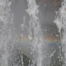 자연농원 이미지