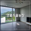 무릉도원면-44 이미지